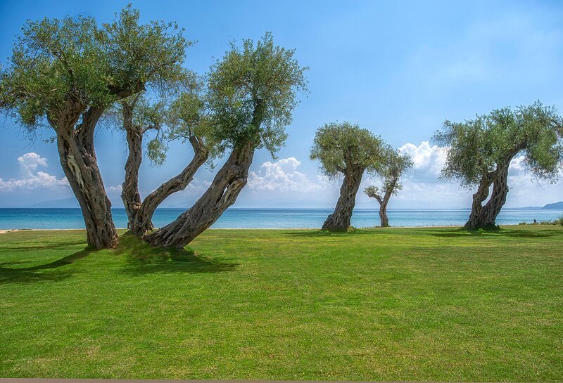 Domes Miramare, The Luxury Collection 47