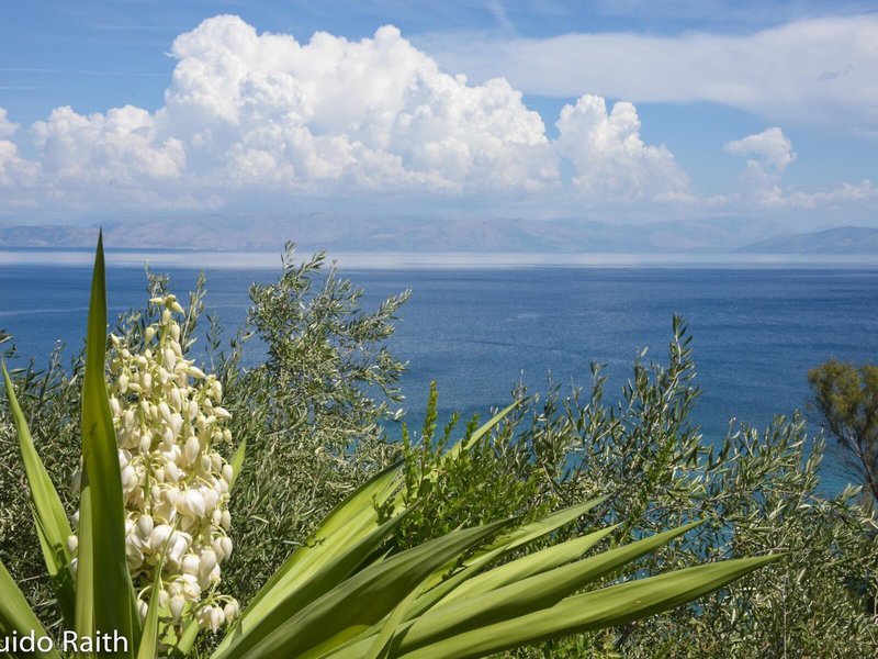 Ionian View 8
