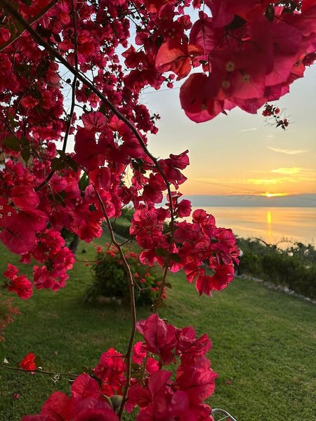 Ionian View 10