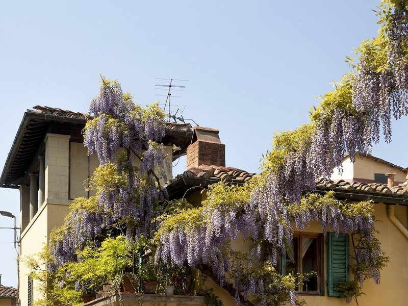 Le Cannelle B&B 1