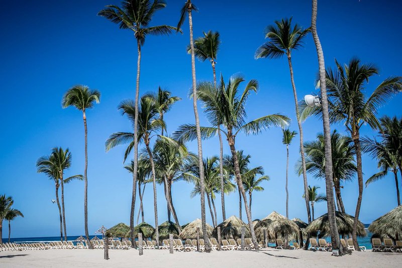 Majestic Colonial Punta Cana Resort 8