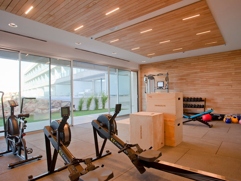 Seth 55 Santo Tomás 33