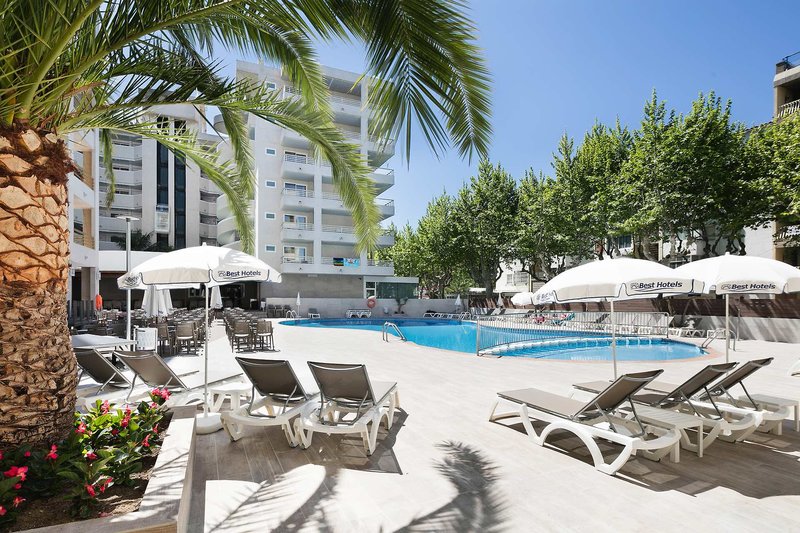 Best Da Vinci Royal 1