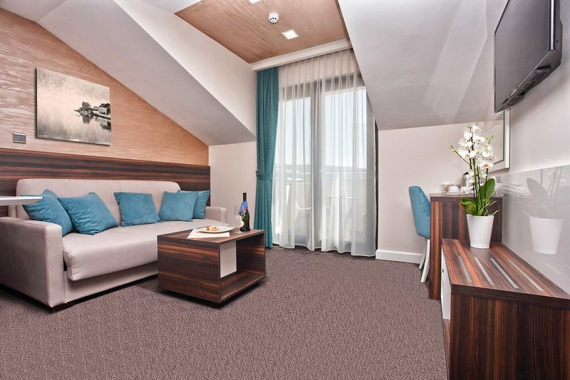 Wellness & Spa Hotel ACD 11