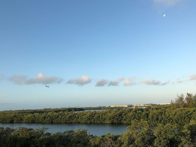 The Perry Hotel Key West 10