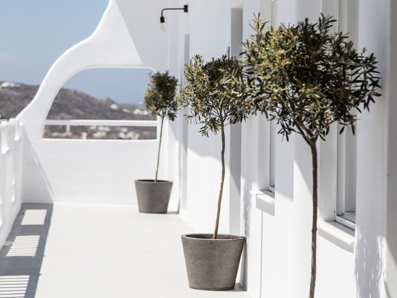 My Mykonos Boutique Hotel 13