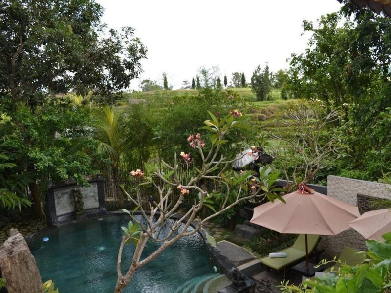 Katak Tepi Sawah Villas 7