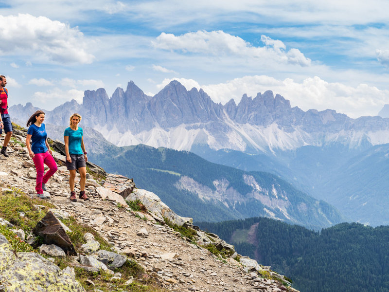 TUI BLUE My Arbor 27