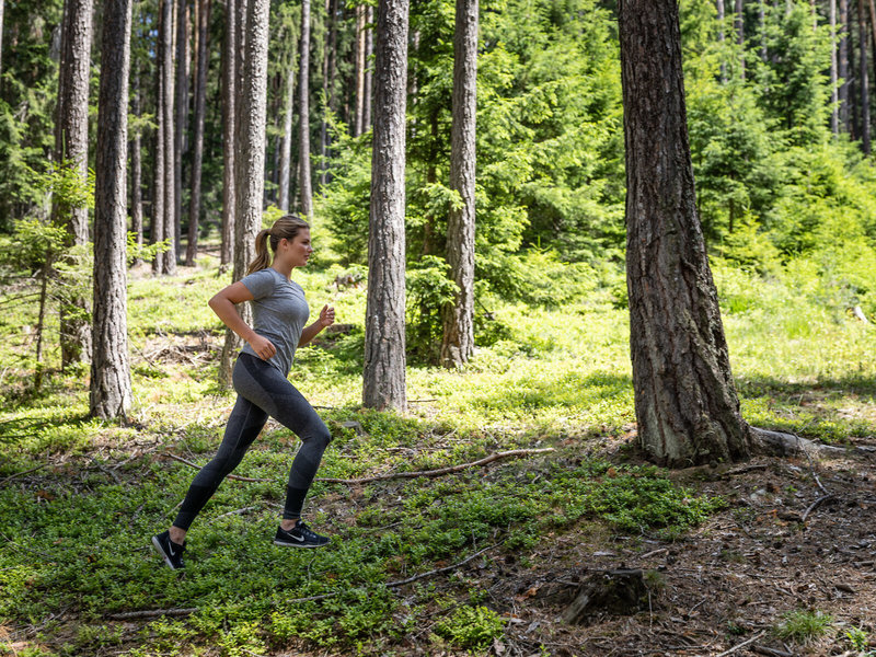 TUI BLUE My Arbor 28