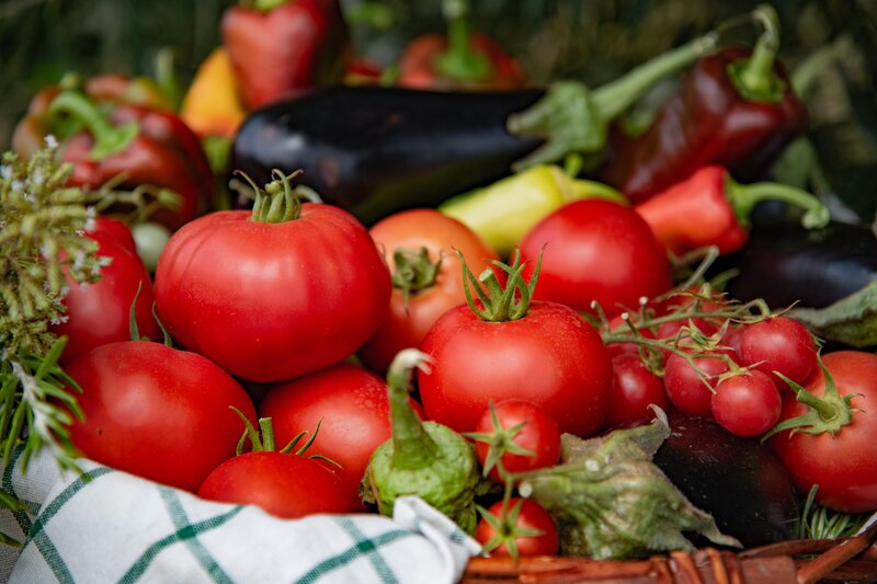 Potidea Palace Hotel 110