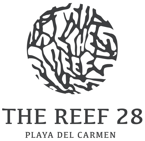 The Reef 28 16