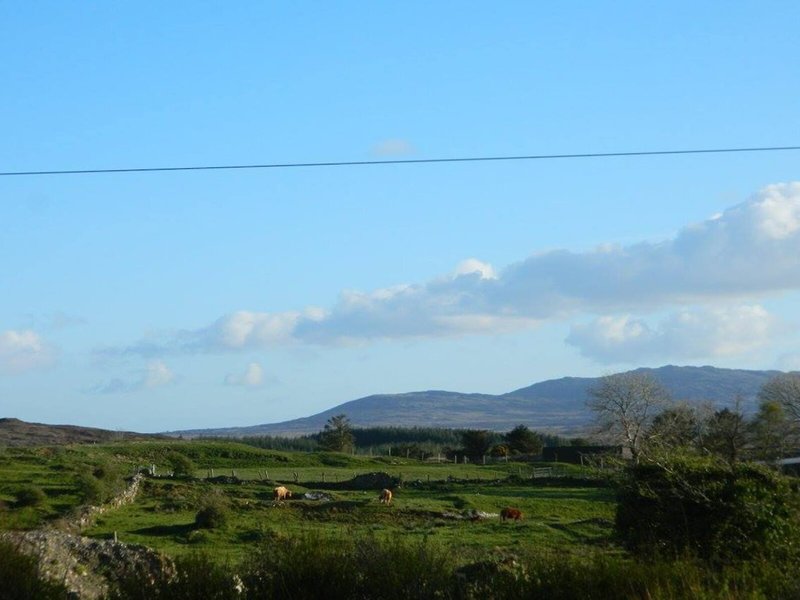 The Wilderness B&B 3