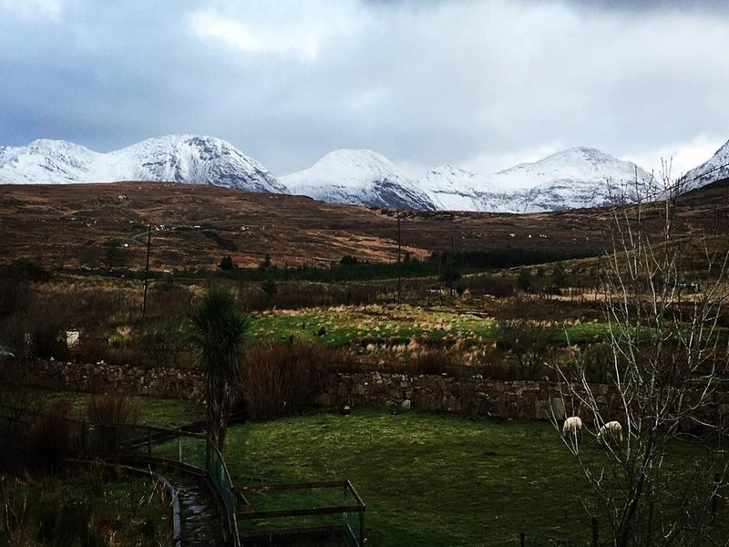The Wilderness B&B 5