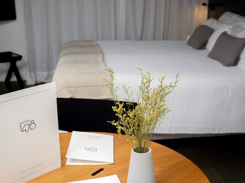 Hotel Suites 1478 38