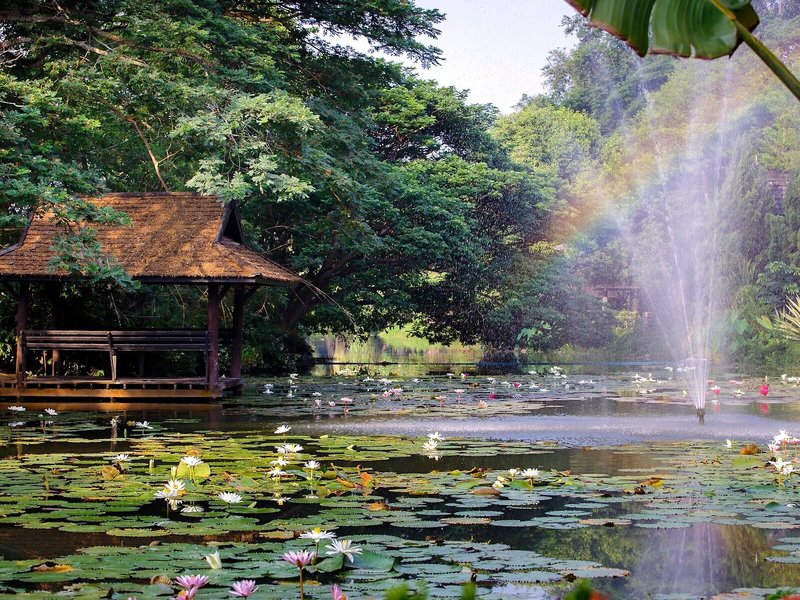 Lampang River Lodge 6