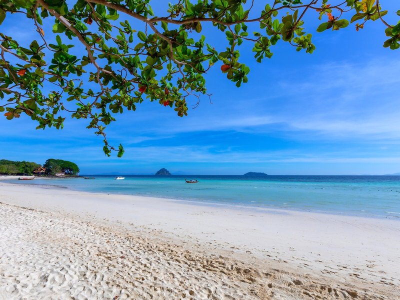 Phi Phi Erawan Palms Resort 9