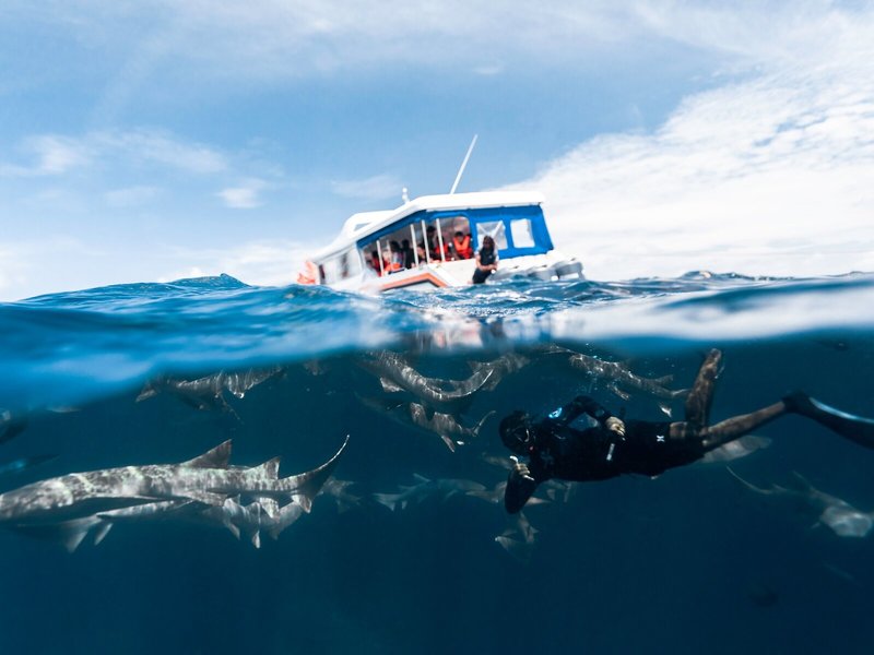 Kaani Grand Seaview 29