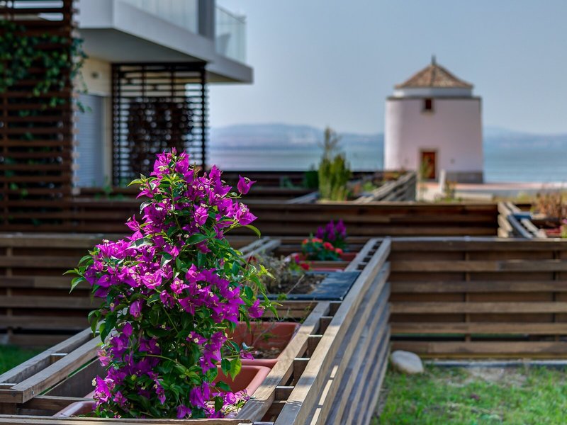 Praia Do Sal 8