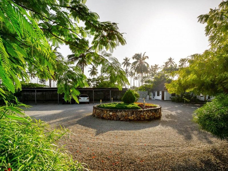 White Paradise Zanzibar 4