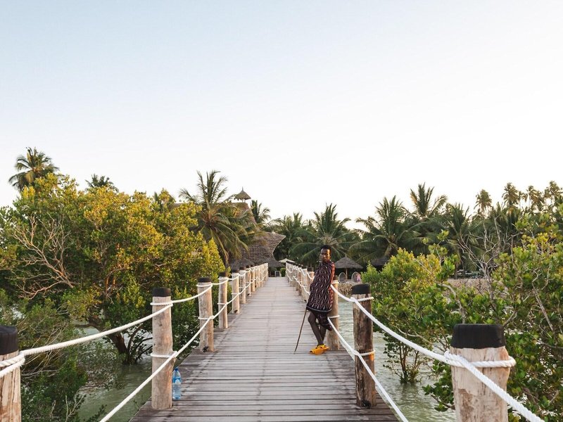 White Paradise Zanzibar 8