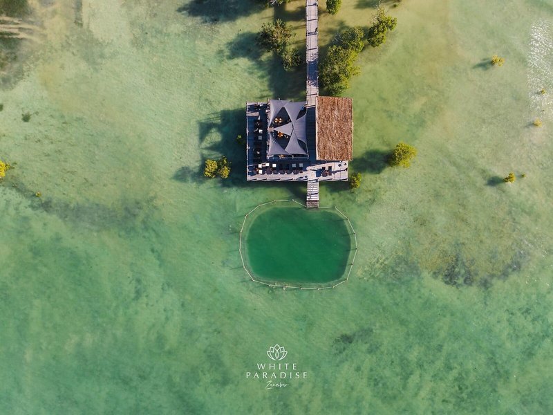 White Paradise Zanzibar 37