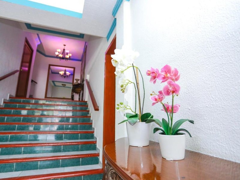 Hotel Avenida Cancun 5