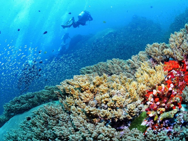 Baba Beach Club Phuket 38