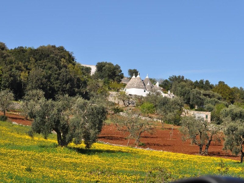 Hotel La Vetta Europa 10