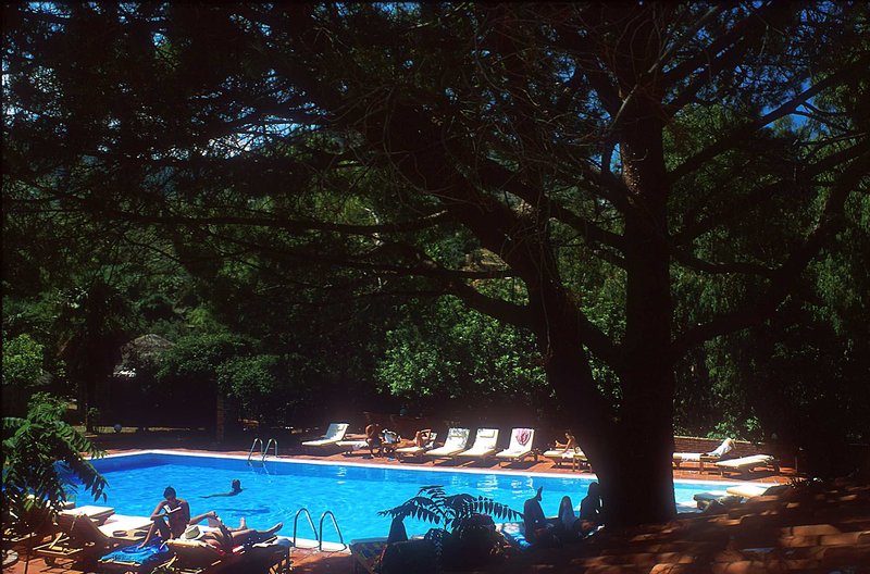 Alberi Del Paradiso 5