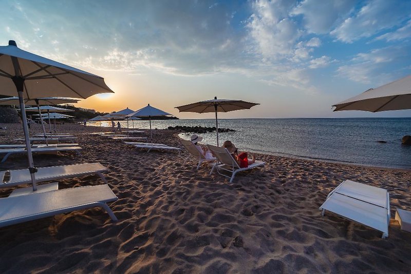 Alberi del Paradiso 5