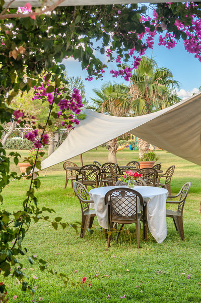 Acacia Resort 43