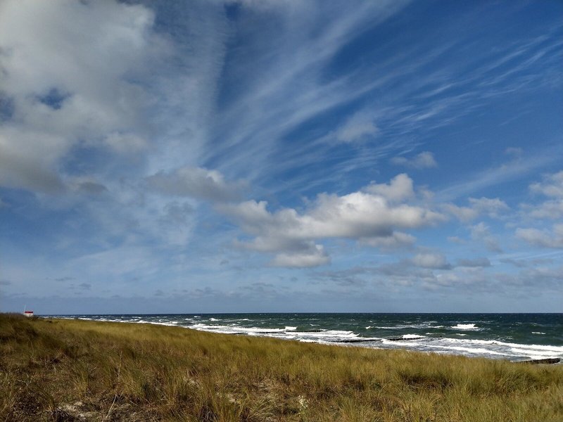 Steigenberger Strandhotel and Spa 4