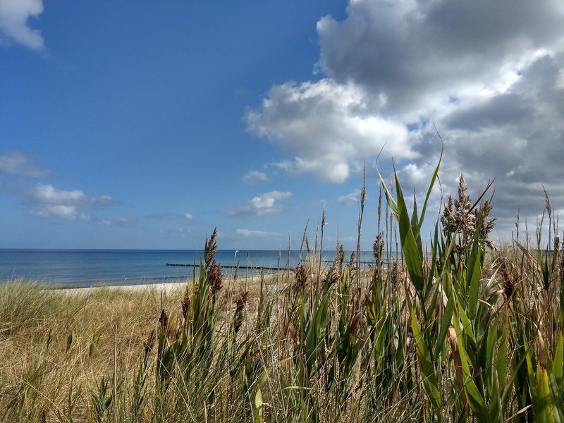 Steigenberger Strandhotel and Spa 5