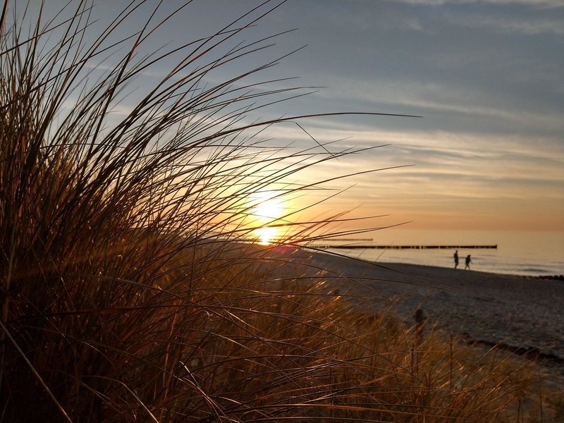 Steigenberger Strandhotel and Spa 6