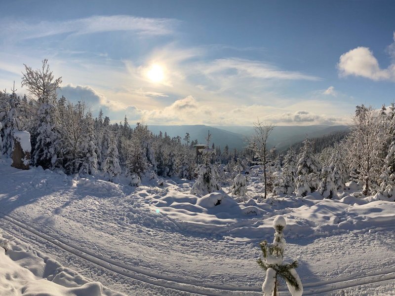 Oberwiesenhof 3