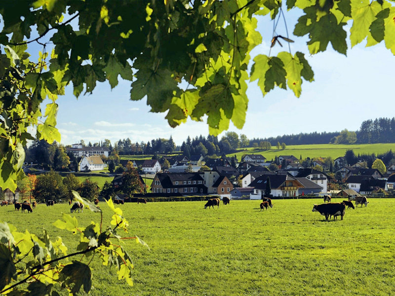 Oberwiesenhof 4