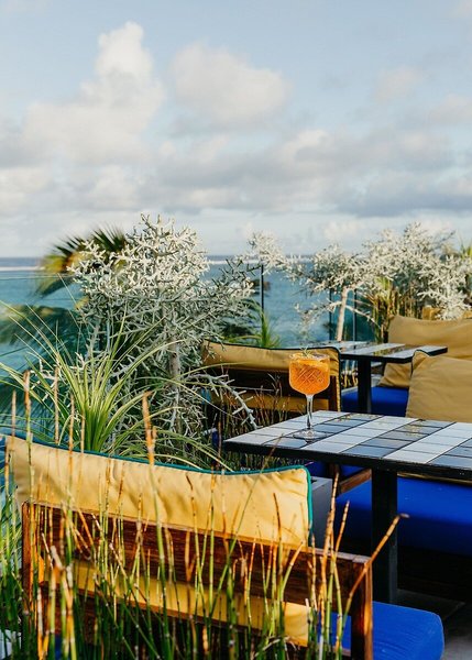 SALT of Palmar 16 - Restaurant