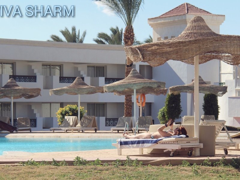 Viva Sharm 16