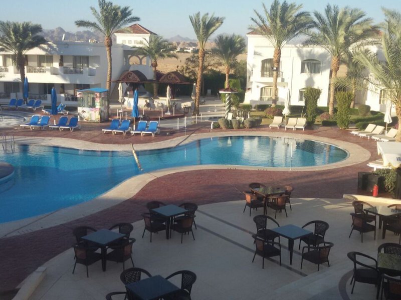 Viva Sharm 17