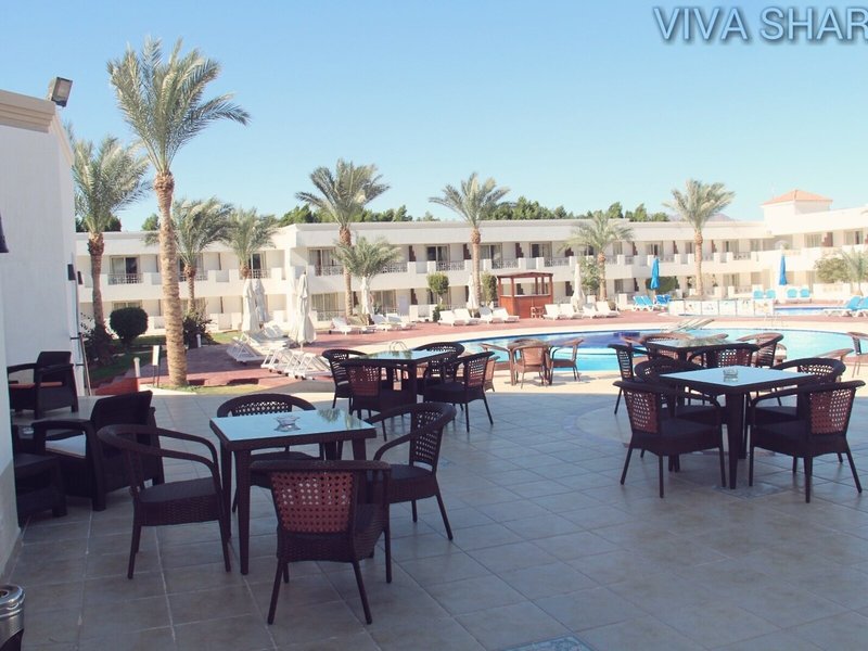 Viva Sharm 30
