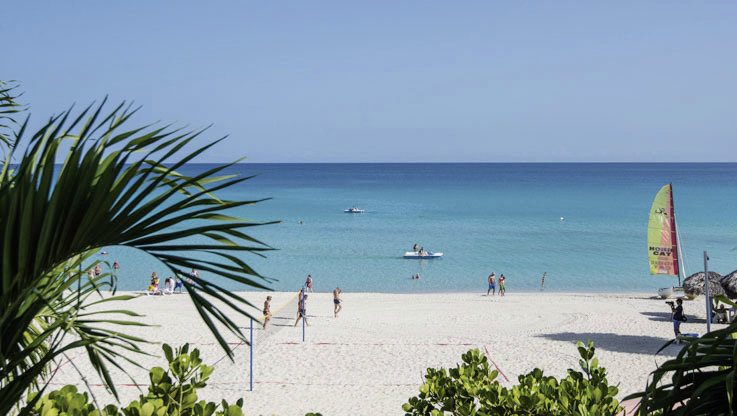 Starfish Cuatro Palmas 4