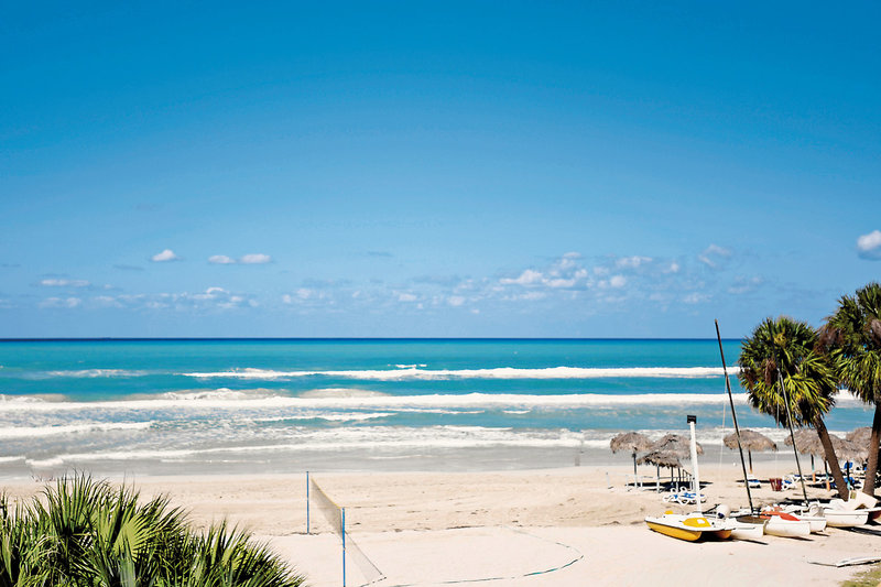 Starfish Cuatro Palmas 5