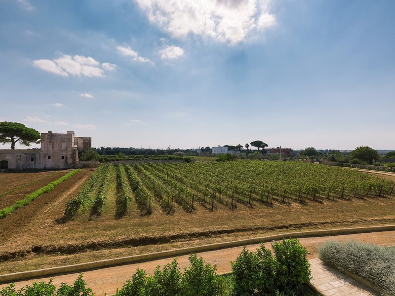 Tenuta Mose Charming House Relais 6