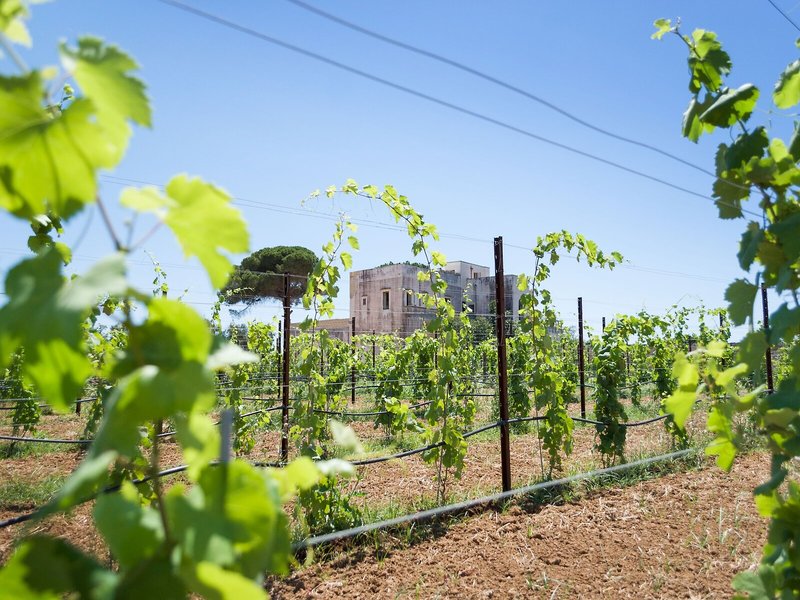 Tenuta Mose Charming House Relais 7