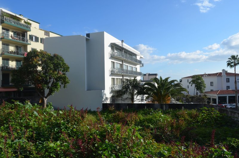 Madeira Bright Star 6