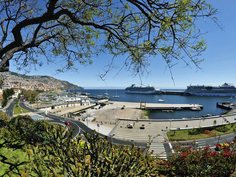 Madeira Bright Star 1