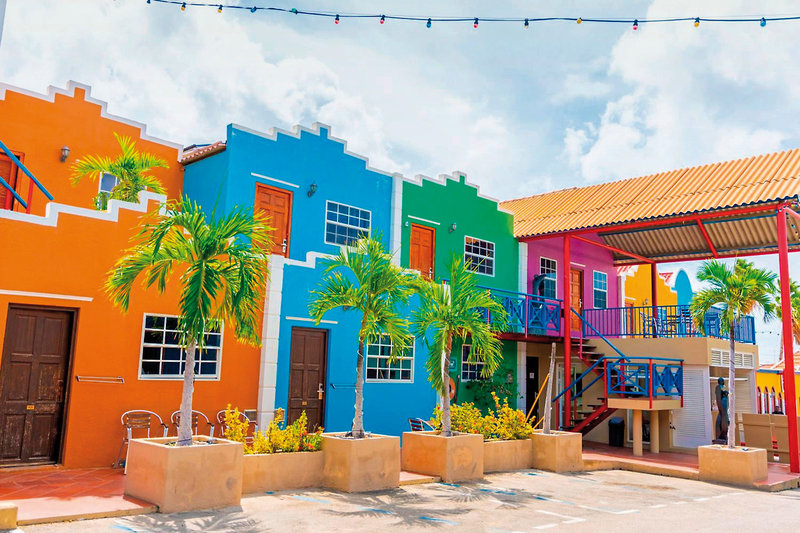 The Ritz Village 14