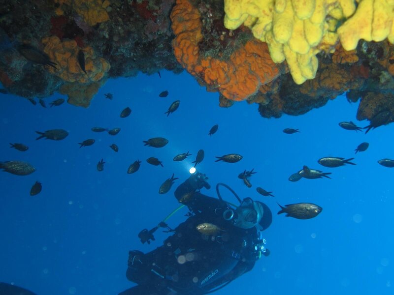 Maya Bistro Hotel Beach 47