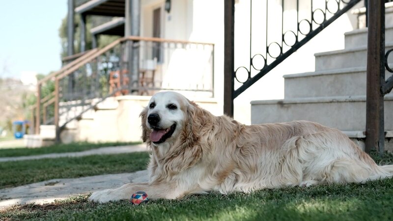 Maya Bistro Hotel Beach 83