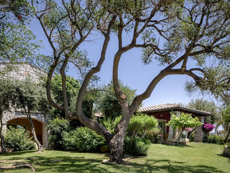 Cruccuris Resort 31